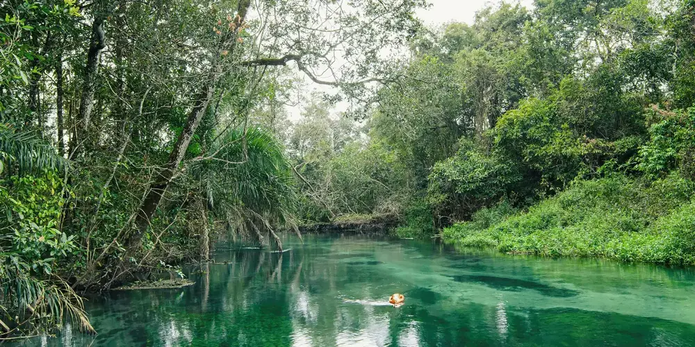 Onde fica o Rio da Prata